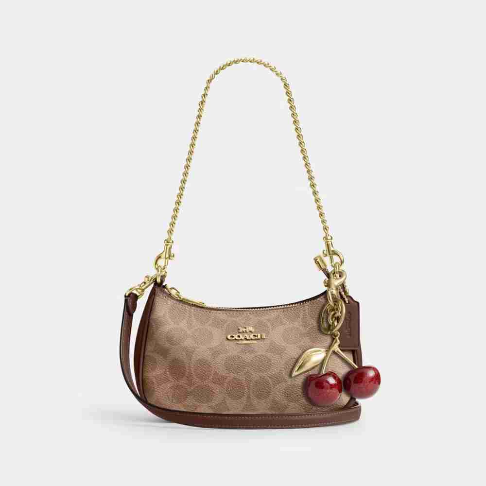 Coach Teri Mini Crossbody Bag in Signature Canvas – Brown, photo 5 of 8